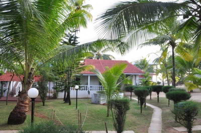 Mandrem Beach Resort Exteriér fotografie