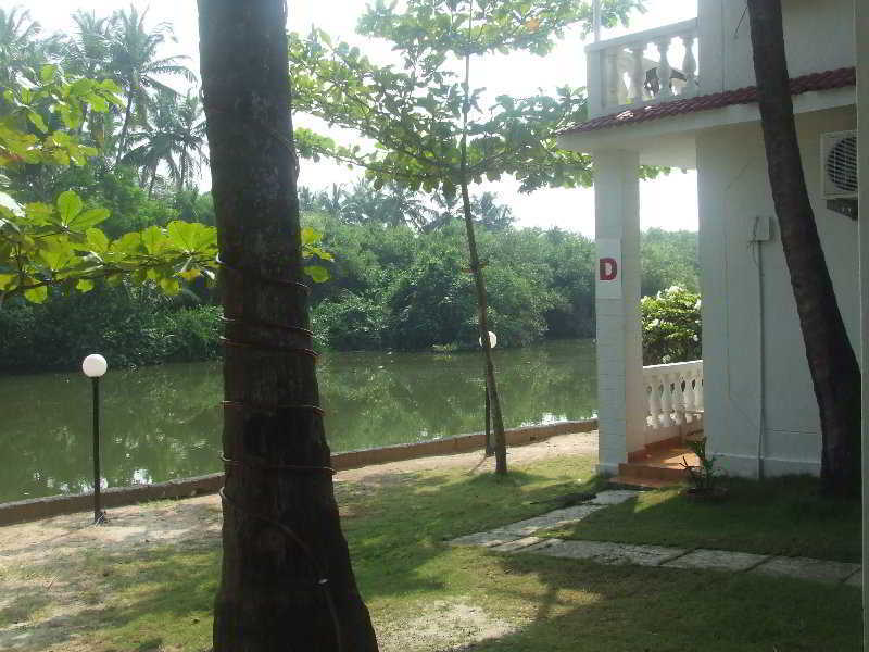 Mandrem Beach Resort Exteriér fotografie